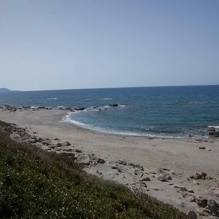 Alexandros Willa